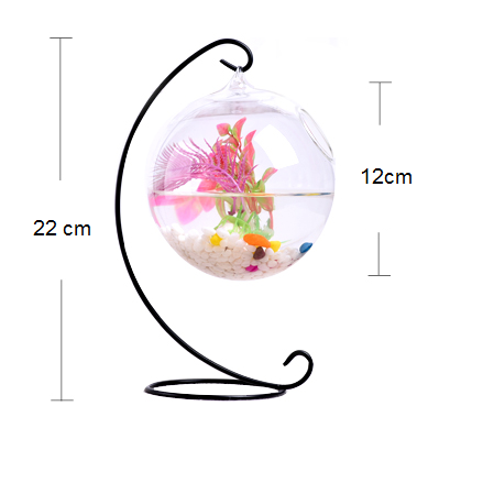 bể cá mini giá treo c