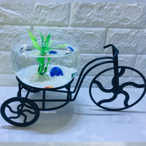 Bể cá mini để bàn xe đạp